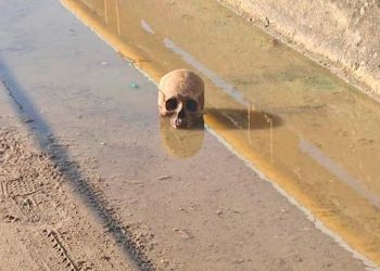 ARROJAN CRÁNEO HUMANO EN PUENTE VEHÍCULAR