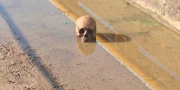 ARROJAN CRÁNEO HUMANO EN PUENTE VEHÍCULAR