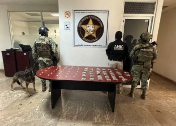 Fuerza de Tarea Interinstitucional (FTI) catea tres inmuebles y asegura narcótico