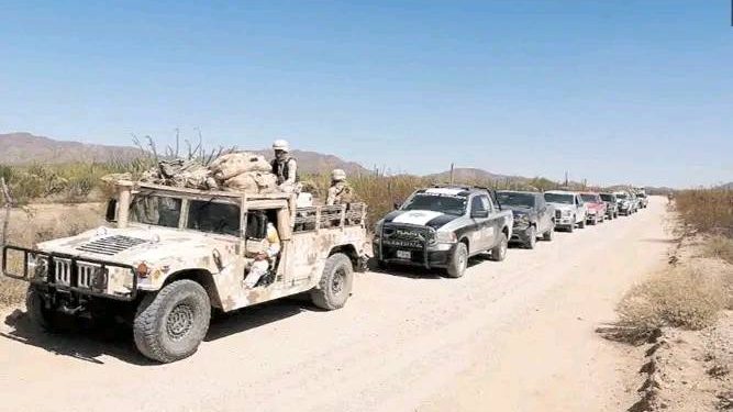 “Caen” en Altar, Sonora, 9 miembros de un grupo delictivo.