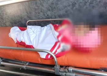 Leticia halló a Candelaria, la bebé abandonada en Guasave; padres aparecen; el llanto la alertó