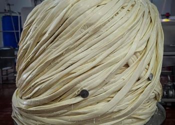 El queso Oaxaca más grande del mundo lo elaboraron en Puebla y pesó más de una tonelada