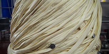 El queso Oaxaca más grande del mundo lo elaboraron en Puebla y pesó más de una tonelada