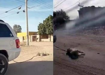 Investiga Fiscalía caso de maltrato animal en San Luis Río Colorado