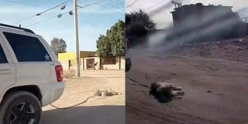 Investiga Fiscalía caso de maltrato animal en San Luis Río Colorado