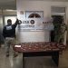 Cateo positivo resulta en aseguramiento de droga y otros indicios