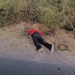 Localizan Madres Buscadoras De Sonora cuerpo sin vida en Hermosillo