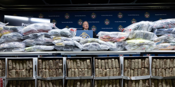 Decomisan más de 800 kilos de cocaína vinculados al CJNG en Toronto, Canadá