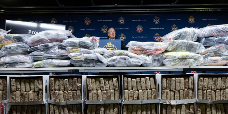 Decomisan más de 800 kilos de cocaína vinculados al CJNG en Toronto, Canadá