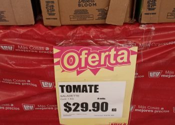Coyotes truenan a productores de tomate en el sur de Sonora