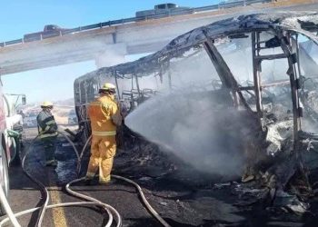 Tragedia en carretera Cuencamé – #Durango: Al menos 14 fallecidos en accidente fatal