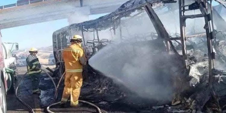 Tragedia en carretera Cuencamé – #Durango: Al menos 14 fallecidos en accidente fatal