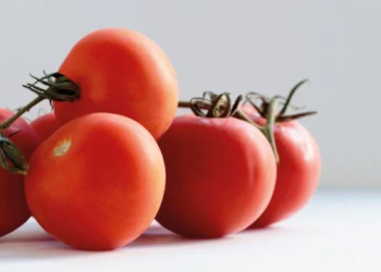 EU anuncia aranceles de 21% a tomates mexicanos a partir julio