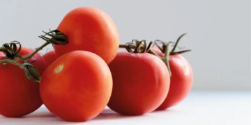 EU anuncia aranceles de 21% a tomates mexicanos a partir julio