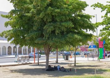 Investigan a policías de #Hermosillo por levantar supuestos indigentes y llevarselos a la fuerza hacia el sur de Sonora