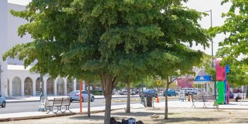 Investigan a policías de #Hermosillo por levantar supuestos indigentes y llevarselos a la fuerza hacia el sur de Sonora