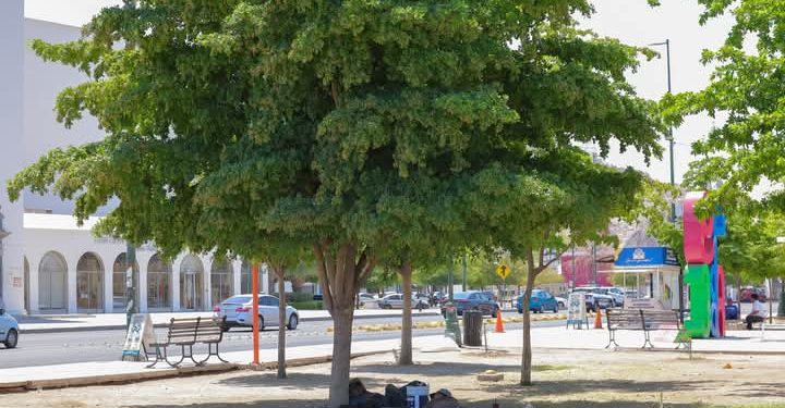 Investigan a policías de #Hermosillo por levantar supuestos indigentes y llevarselos a la fuerza hacia el sur de Sonora