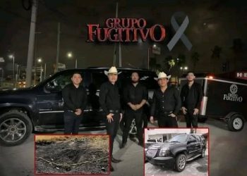 Cártel del Golfo mató a integrantes de Grupo Fugitivo; hay 9 detenidos