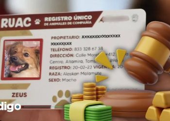 ¡Ojo! Si no tramitas CURP para tus mascotas deberás pagar una multa, ¿de cuánto? Este es el costo