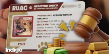 ¡Ojo! Si no tramitas CURP para tus mascotas deberás pagar una multa, ¿de cuánto? Este es el costo
