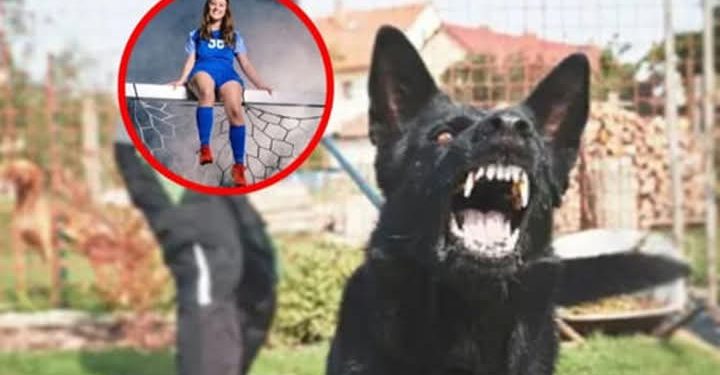 🚨 Joven de 15 años muere tras ser atacada por 20 perros hambrientos, ella intentaba darles de comer ⚠️