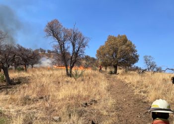 Logran liquidación total del incendio forestal en la Sierra Los Ajos– Se alcanzó el 100 por ciento de control y liquidación del siniestro gracias al trabajo coordinado y la entrega de 107 brigadistas
