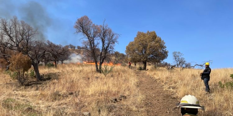Logran liquidación total del incendio forestal en la Sierra Los Ajos– Se alcanzó el 100 por ciento de control y liquidación del siniestro gracias al trabajo coordinado y la entrega de 107 brigadistas